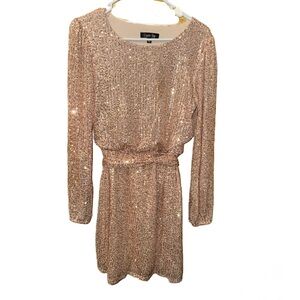Rose Gold Sequin Dress